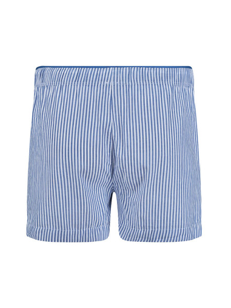 SKINY Regular Fit Hellblau Webware